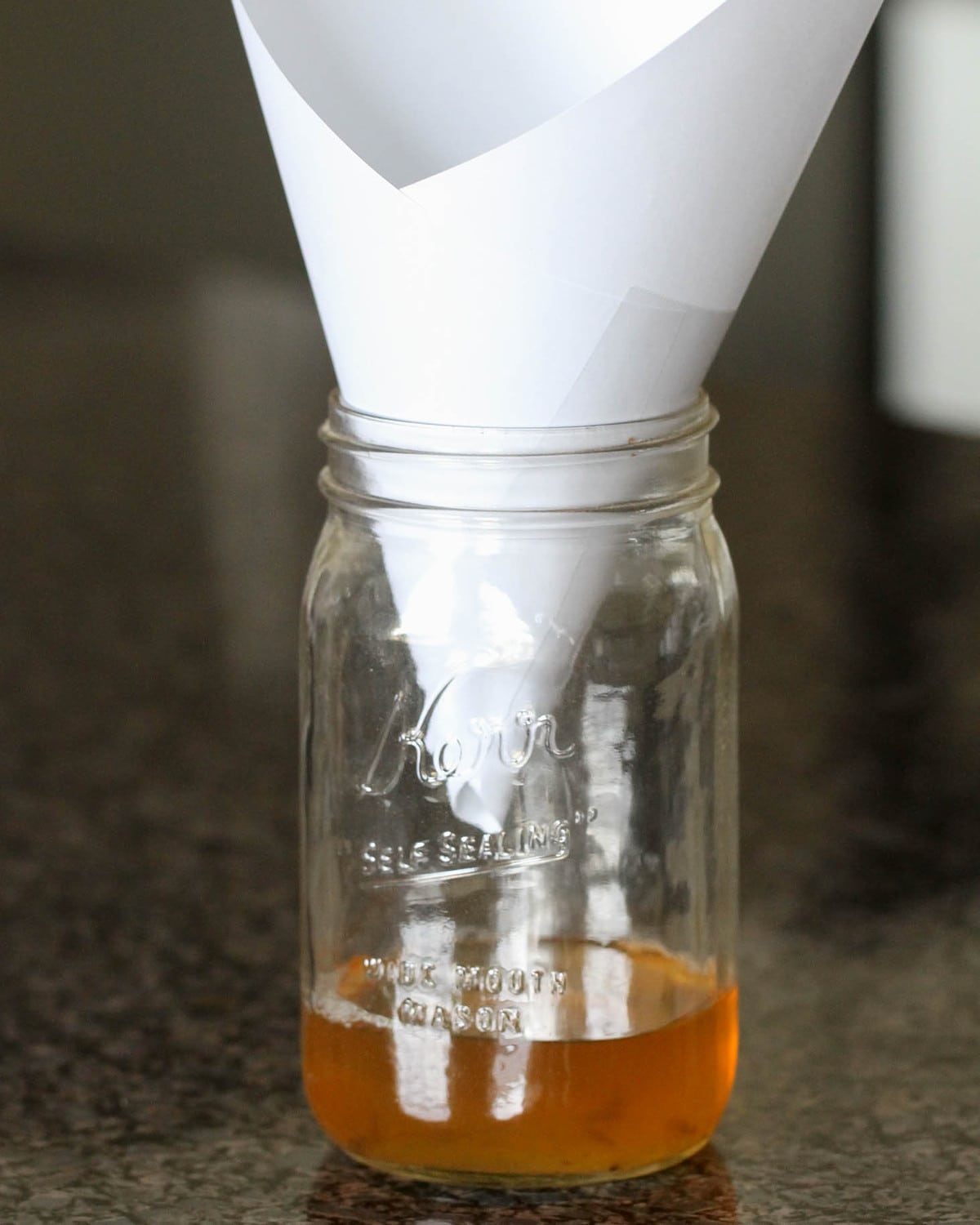 How to build a Fruit Fly Trap - Home Grow Solutions